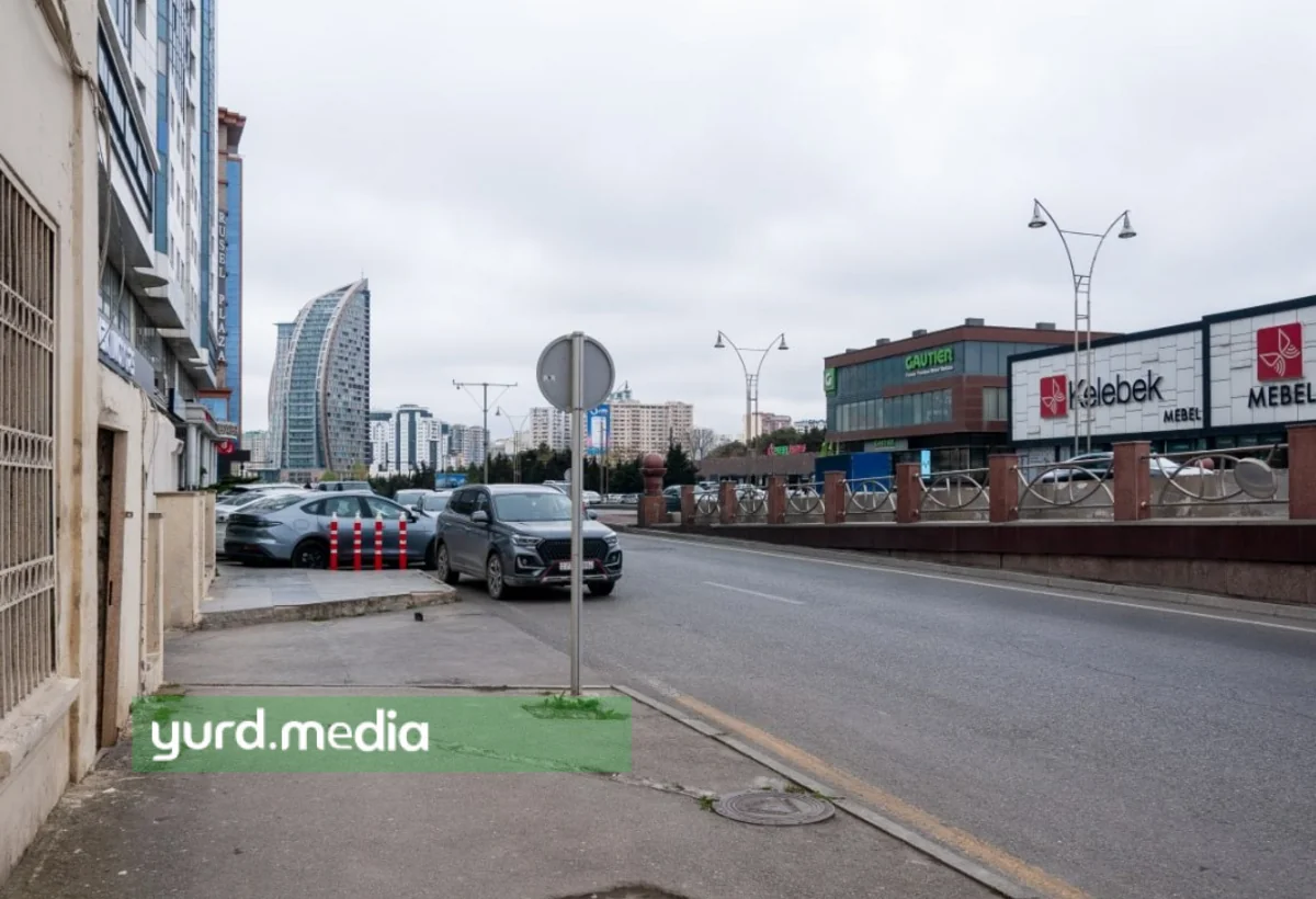 Bir pandus, bir neçə qurum: Nəticə sıfır - FOTO