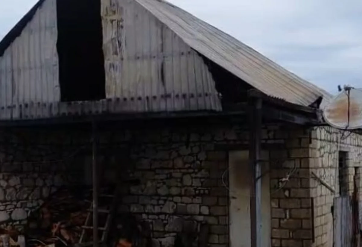 Şəmkirdə onlarla heyvan tövlədə diri-diri yanıb