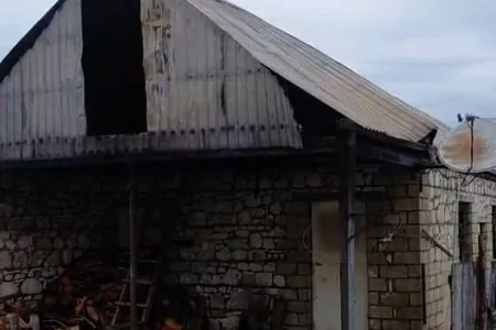 Şəmkirdə onlarla heyvan tövlədə diri-diri yanıb