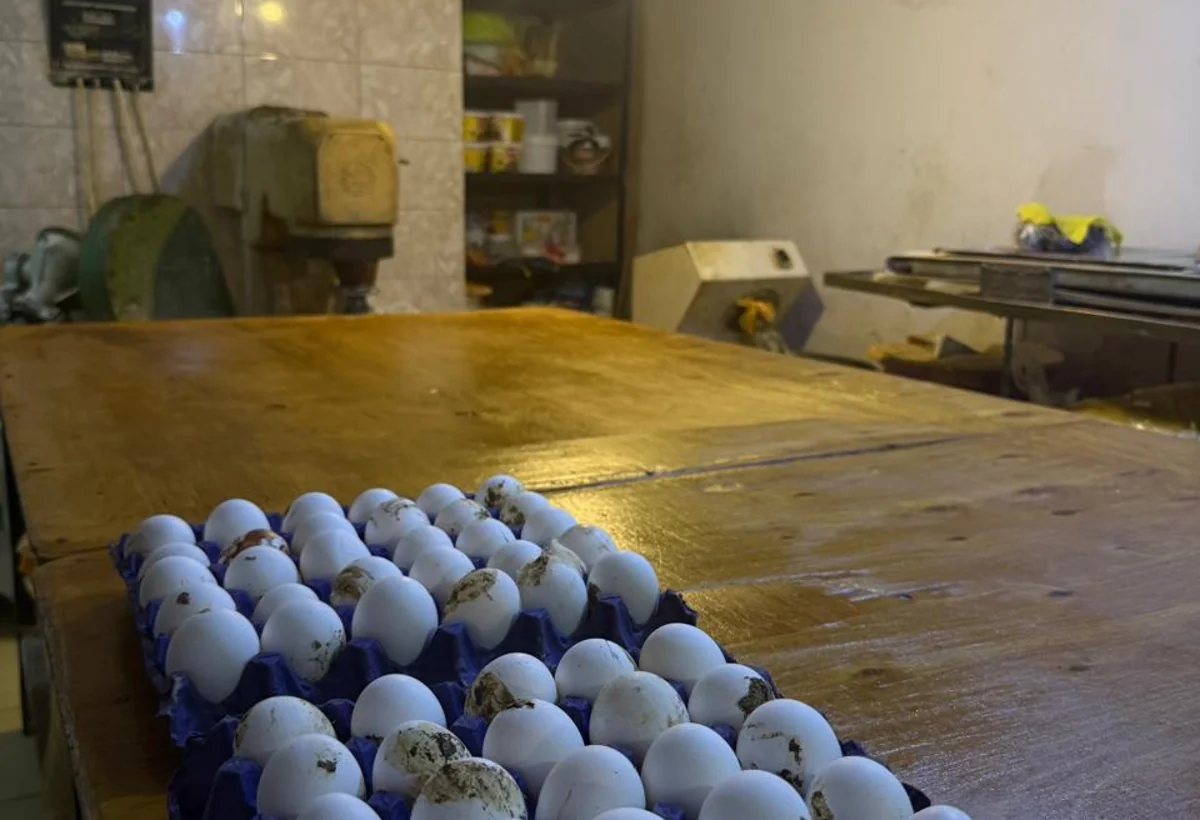 Bakıda məktəbdə uşaqların zəhərlənməsinə səbəb olan müəssisə - FOTO