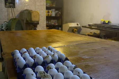 Bakıda məktəbdə uşaqların zəhərlənməsinə səbəb olan müəssisə - FOTO