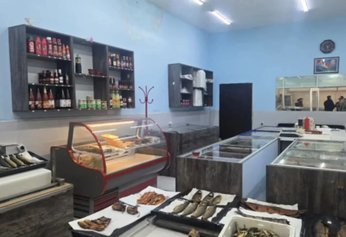 Bakıda süni kürü verilən ŞADLIQ SARAYLARI - SİYAHI