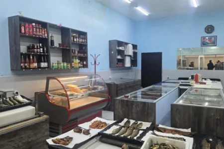 Bakıda süni kürü verilən ŞADLIQ SARAYLARI - SİYAHI