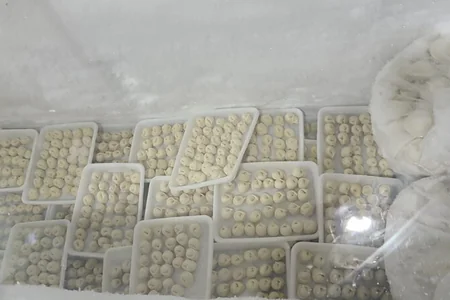 Yarımfabrikatlar hazırlanan sexdə natəmizlik - FOTO