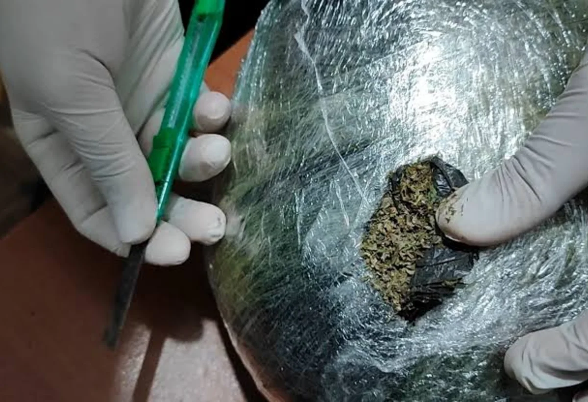İki gündə 25 kiloqram narkotiki dövriyyədən çıxarılıb