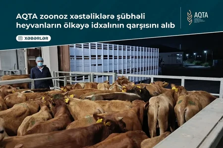 Ölkəyə gətirilən heyvanlar “Qırmızı Körpü”dən qaytarıldı - İdxalçılara XƏBƏRDARLIQ