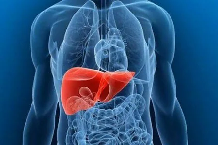 Qaraciyər transplantasiyasında YENİLİK: Xəstələr dərmansız yaşayacaq