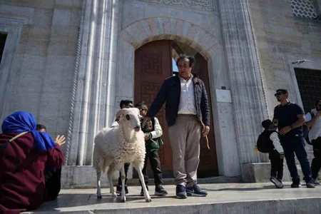 Qurban bayramı: Bayram namazı vaxtı, qurbanlığın şərtləri