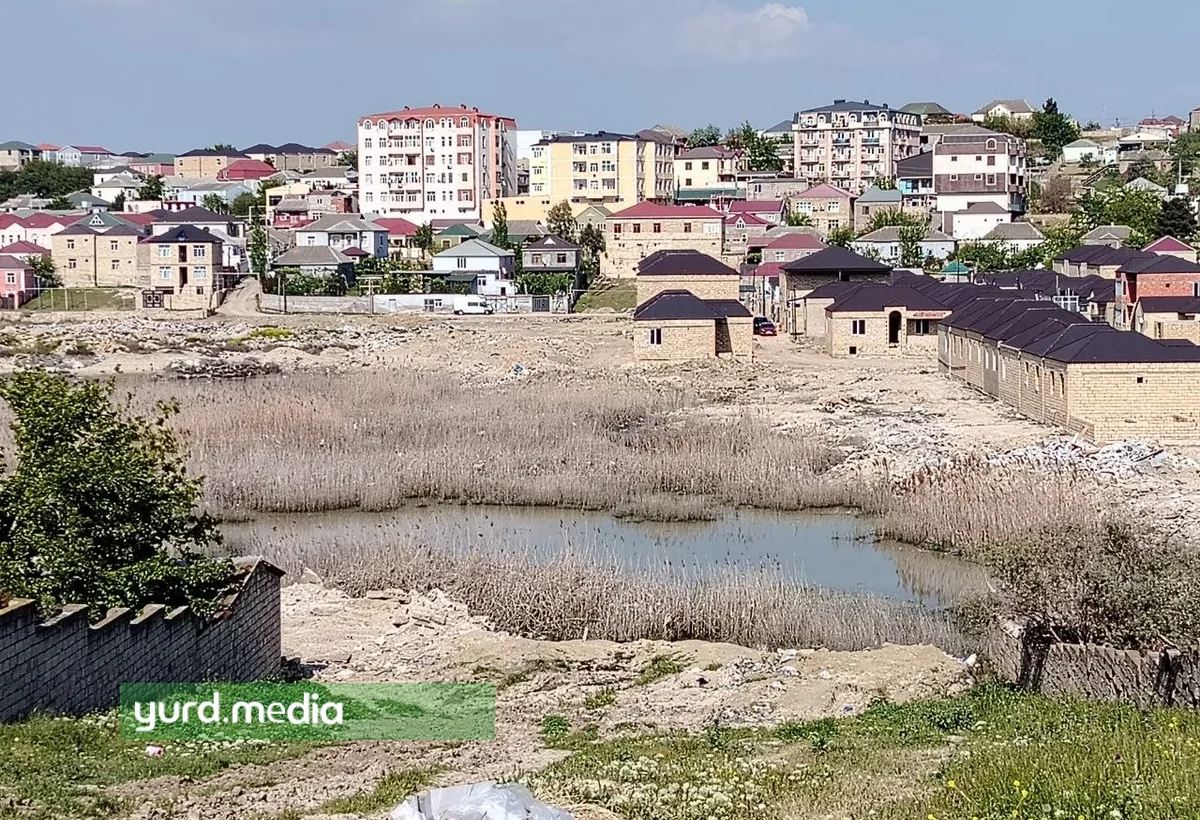 Abşeronda göllər ekoloji fəlakətlə üz-üzə: Masazırda vəziyyət ağırlaşır - REPORTAJ