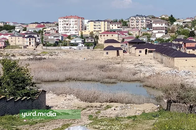 Abşeronda göllər ekoloji fəlakətlə üz-üzə: Masazırda vəziyyət ağırlaşır - REPORTAJ