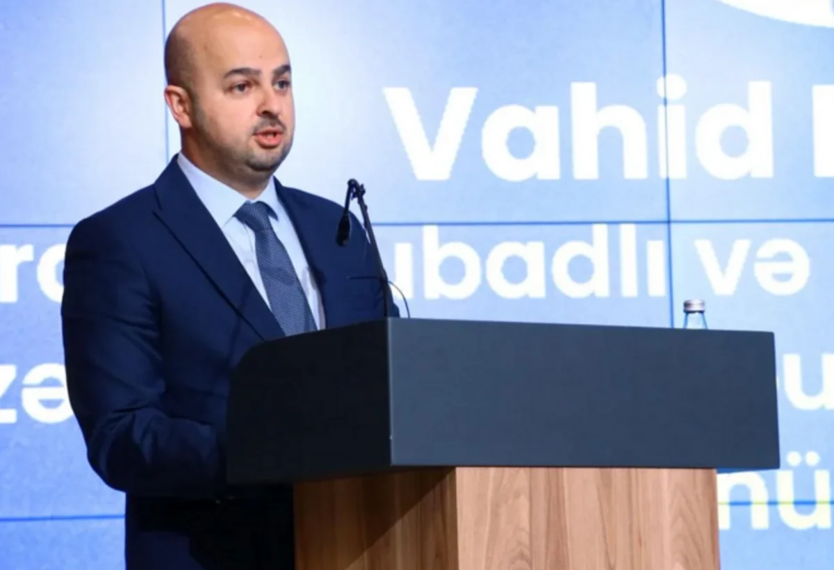 Prezidentin xüsusi nümayəndəsi Qarabağın kəndlərində müasir şəhərsalma yanaşmasını açıqlayıb