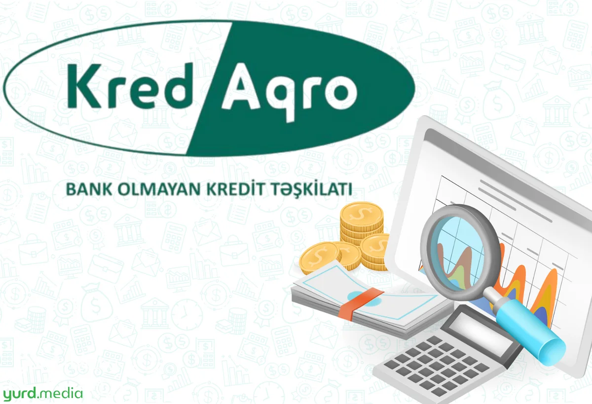 Kredaqro ötən ilin maliyyə hesabatını verib