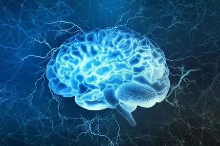 Autizmin erkən əlaməti embrion mərhələsində AŞKAR EDİLDİ