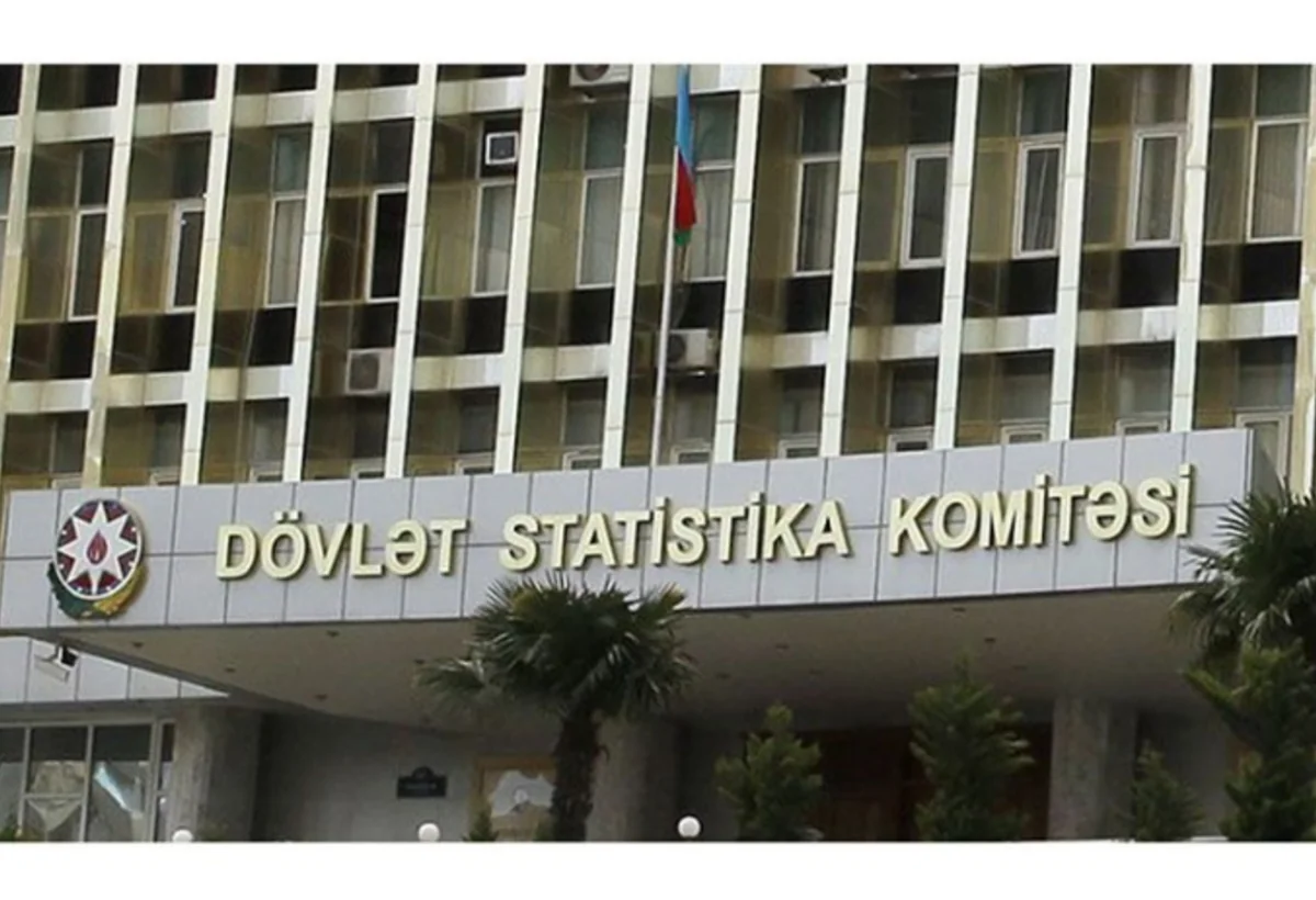 Dövlət Statistika Komitəsində maliyyə işləri bu şəxsə tapşırıldı