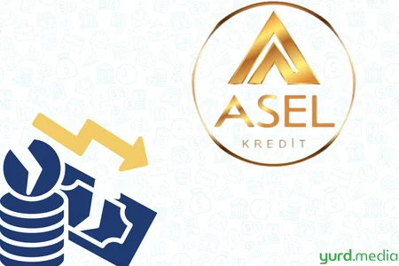 Asel Kredit BOKT ötən il 3 milyon manatdan çox zərər edib