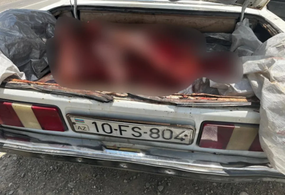 Ölü heyvan ətini satmağa apararkən SAXLANILDI
