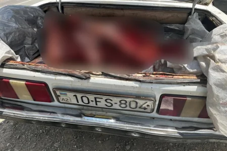 Ölü heyvan ətini satmağa apararkən SAXLANILDI