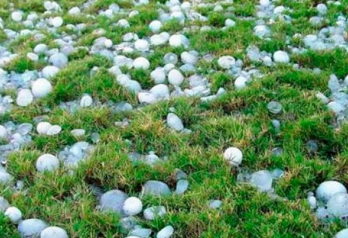 Daşkəsən və Gədəbəyə dolu düşüb