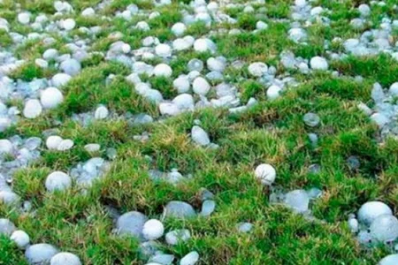 Daşkəsən və Gədəbəyə dolu düşüb