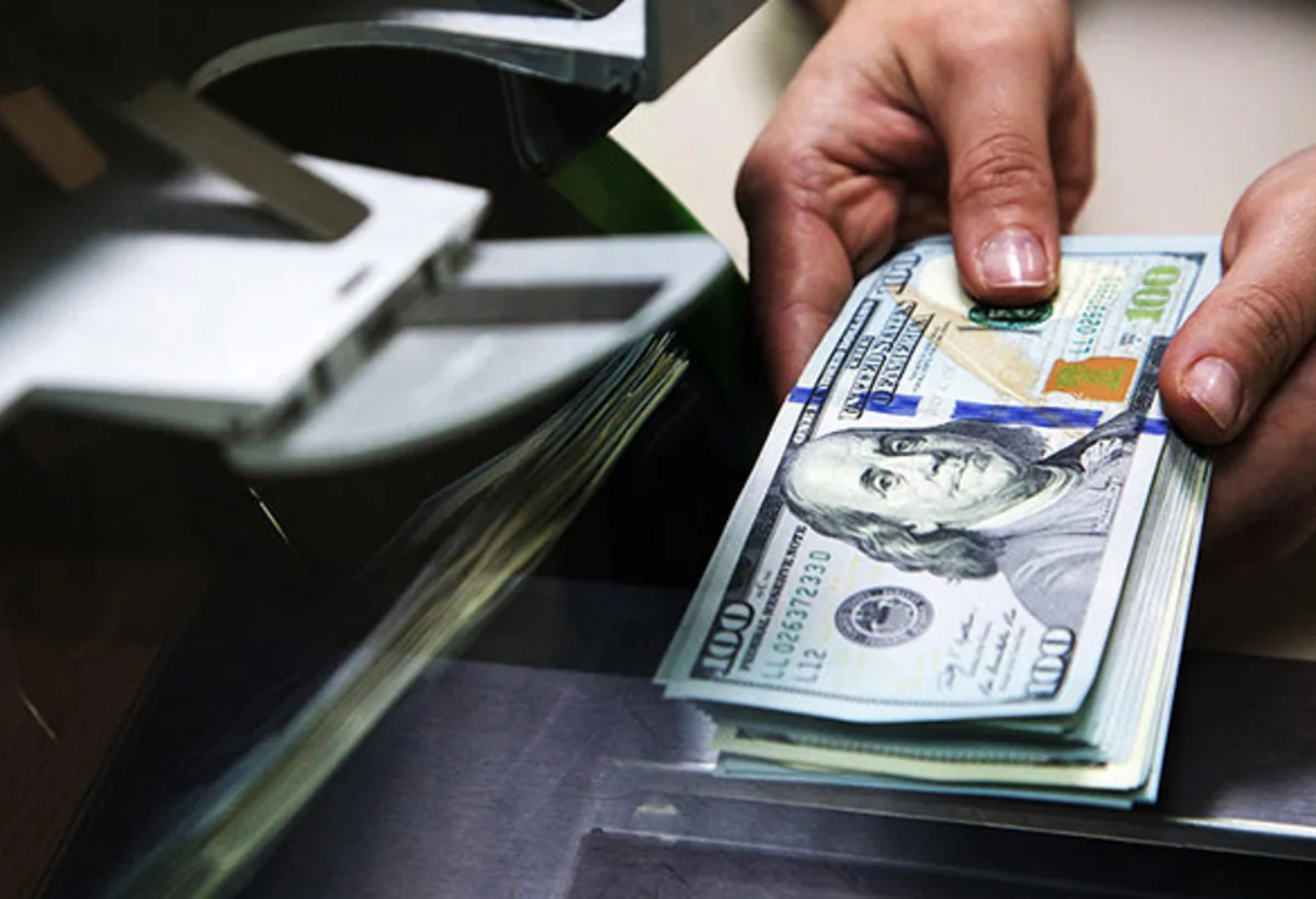 Restoranda gödəkcənin cibindən 5 min dollar oğurlayan şəxs saxlanıldı