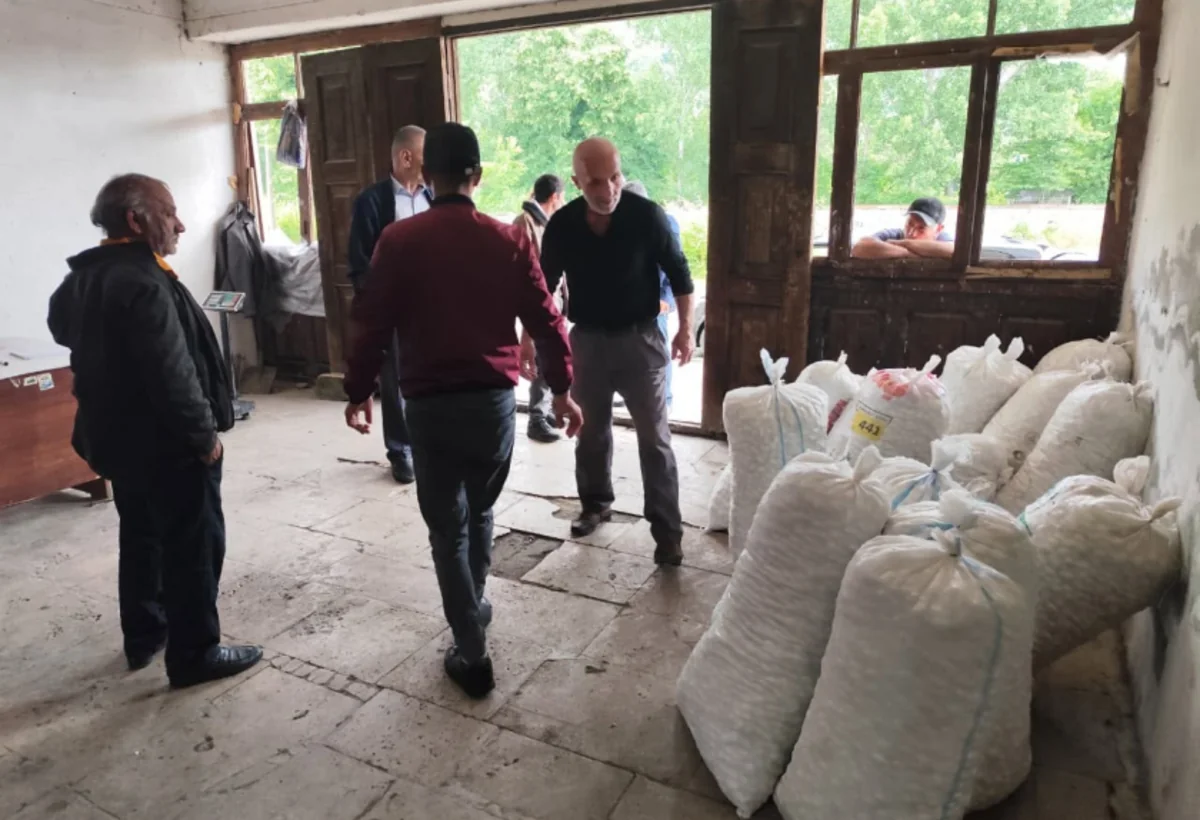 Balakəndə 2 ton barama toplanıldı