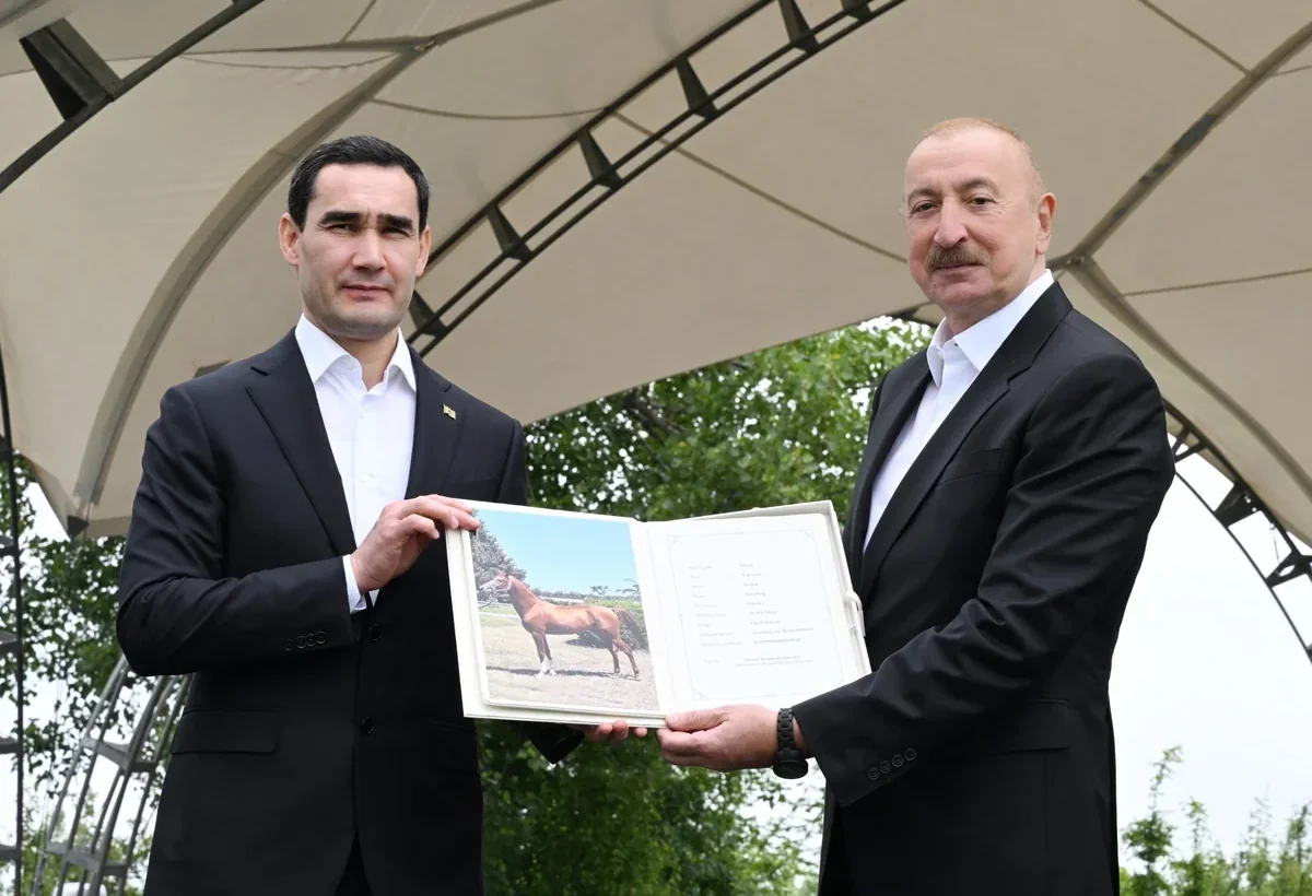 Sərdar Berdiməhəmmədova bu at hədiyyə olundu - FOTO