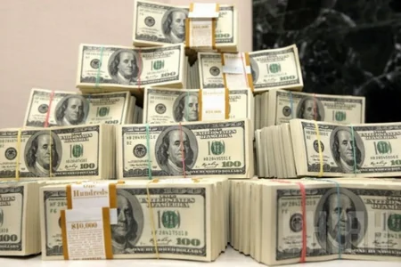 AMB ölkəyə dollar gətirmək üçün çəkdiyi xərci açıqlayıb