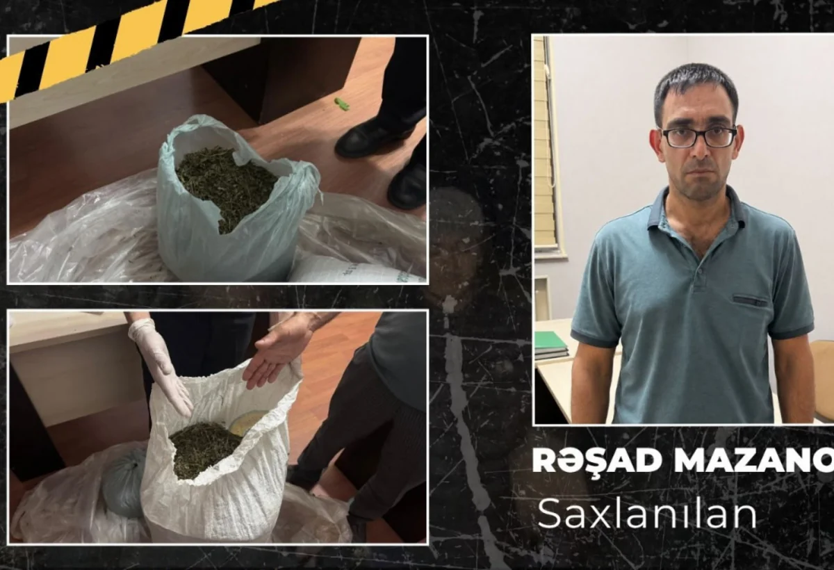 Meşədə narkotik saxlancı aşkarlandı - İsmayıllıda əməliyyat