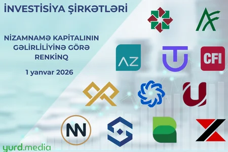 Nizamnamə kapitalından yaxşı və pis istifadə etmiş investisiya şirkəti - CƏDVƏL