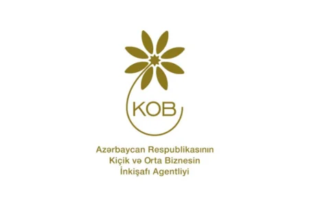 KOBİA dəstək göstərdiyi layihələrin həcmini açıqlayıb