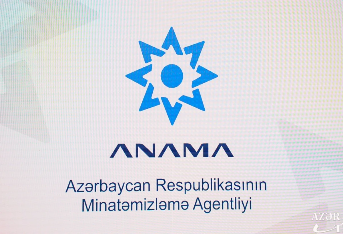 Minatəmizləmə Agentliyi audit xərclərini azaltdı