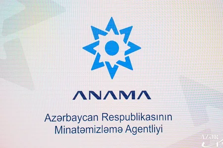 Minatəmizləmə Agentliyi audit xərclərini azaltdı