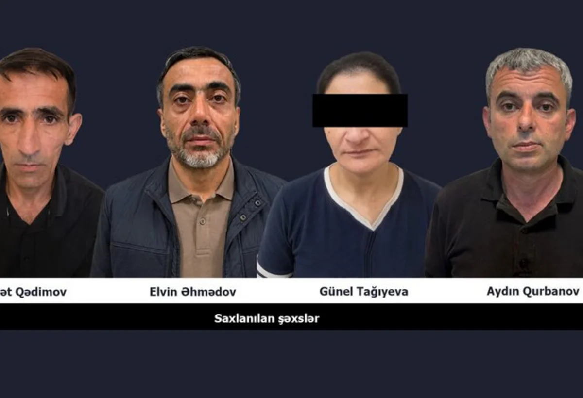 Nəsimi rayonunda bu il 230 kiloqramdan çox narkotik vasitə aşkarlanıb - VİDEO