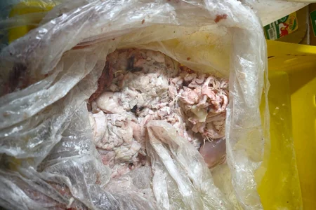 “Azəridad”a kolbasa və sosiska istehsalına QADAĞA QOYULDU - FOTO