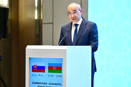Mikayıl Cabbarov slovakiyalılara Azərbaycanın Rusiya və İranla sərhədinin olması üstünlüklərindən danışıb