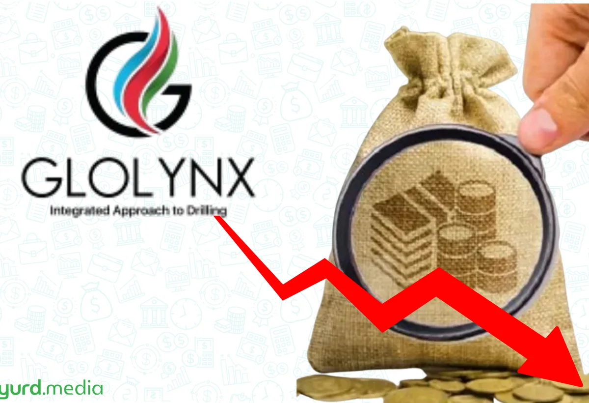 Glolynx Azərbaycan nizamnamə kapitalını 34% azaldır