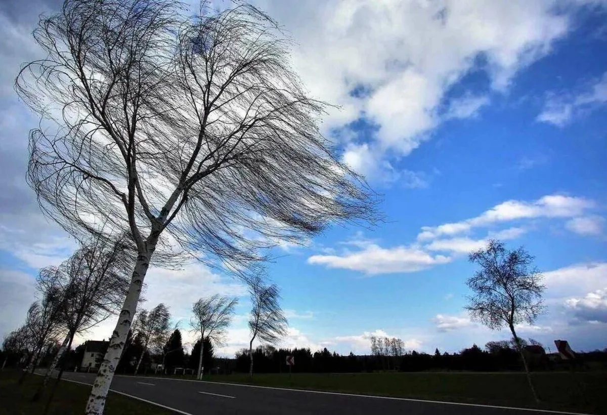 Küləkli hava ilə bağlı sarı və narıncı XƏBƏRDARLIQ - FOTO