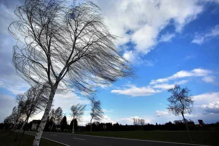 Küləkli hava ilə bağlı sarı və narıncı XƏBƏRDARLIQ - FOTO