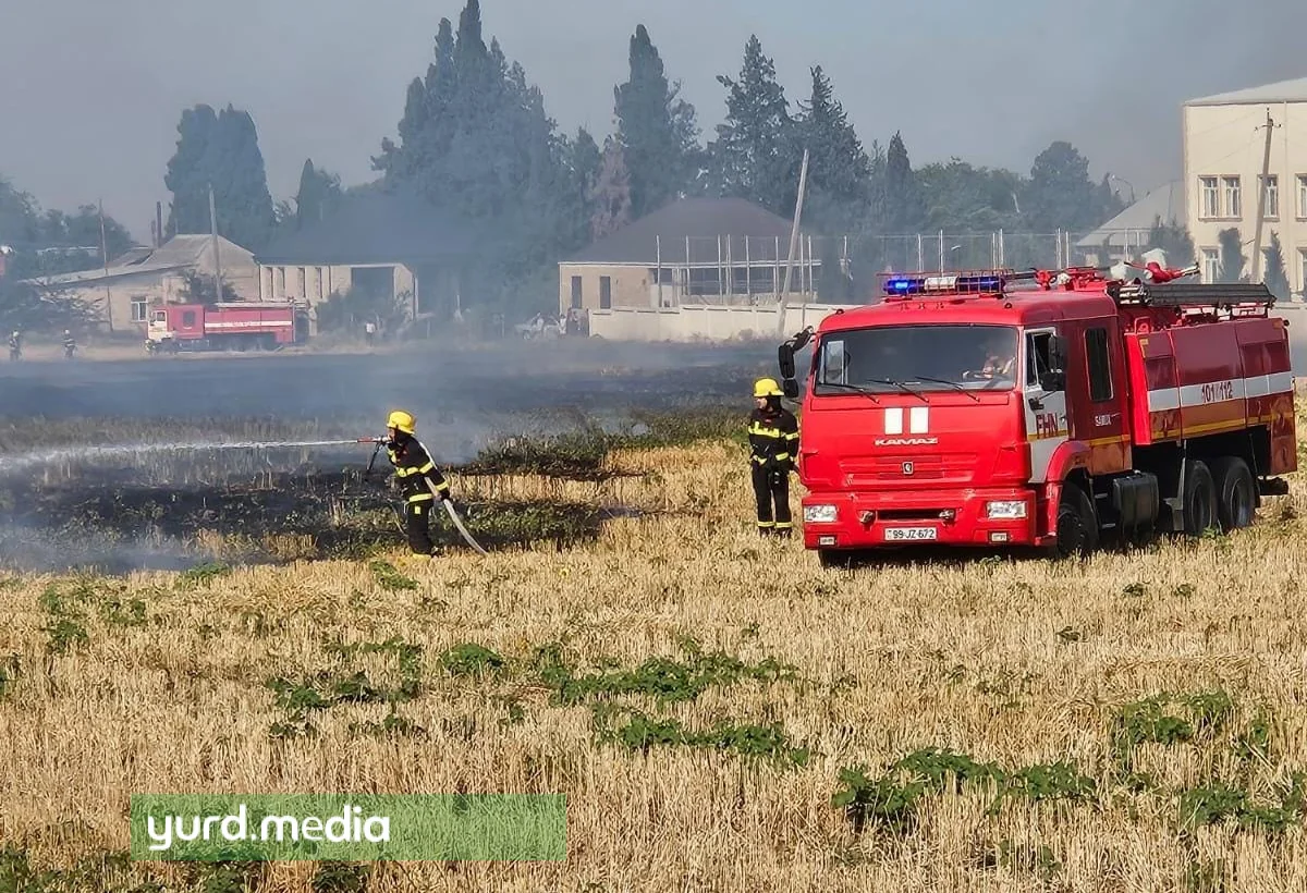 Samuxda quru ot sahəsində YANĞIN - FOTO