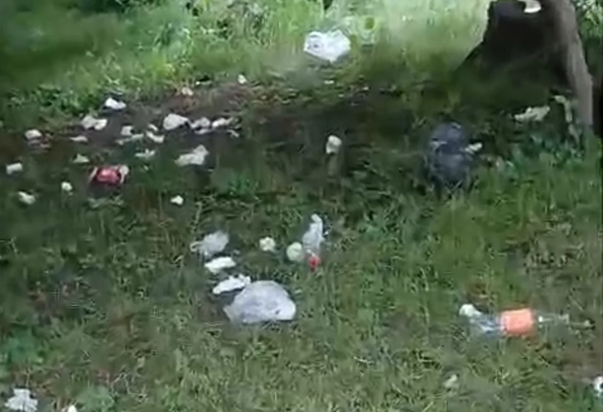 Göygöl rayonunda meşə zibil poliqonuna çevrilir