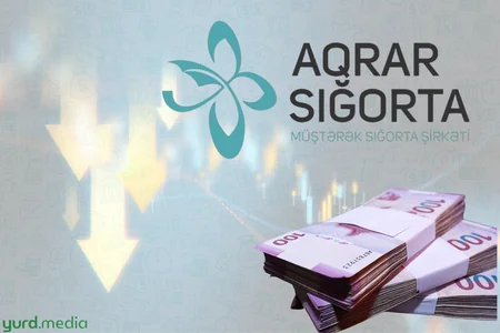 Ödənişləri azalan sığorta şirkətlərinə “Aqrar Sığorta” başçılıq edir - SİYAHI