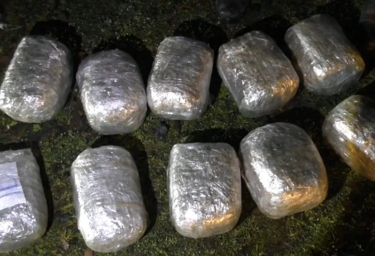 Polis 65 kiloqramdan çox narkotik vasitəni müsadirə etdi