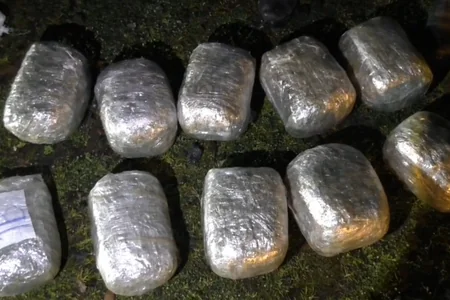 Polis 65 kiloqramdan çox narkotik vasitəni müsadirə etdi