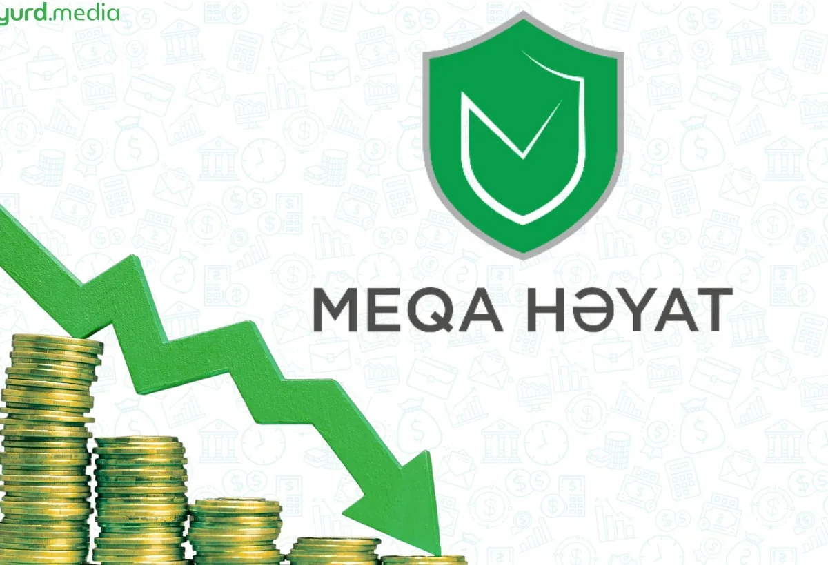 Meqa Həyat Sığortanın aktivləri cüzi azalıb