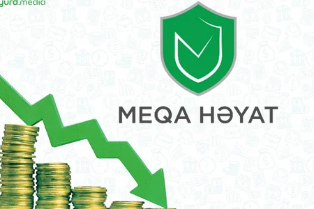 Meqa Həyat Sığortanın aktivləri cüzi azalıb