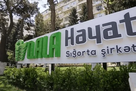 Qala Həyat Sığorta I yarımilin maliyyə hesabatını verib