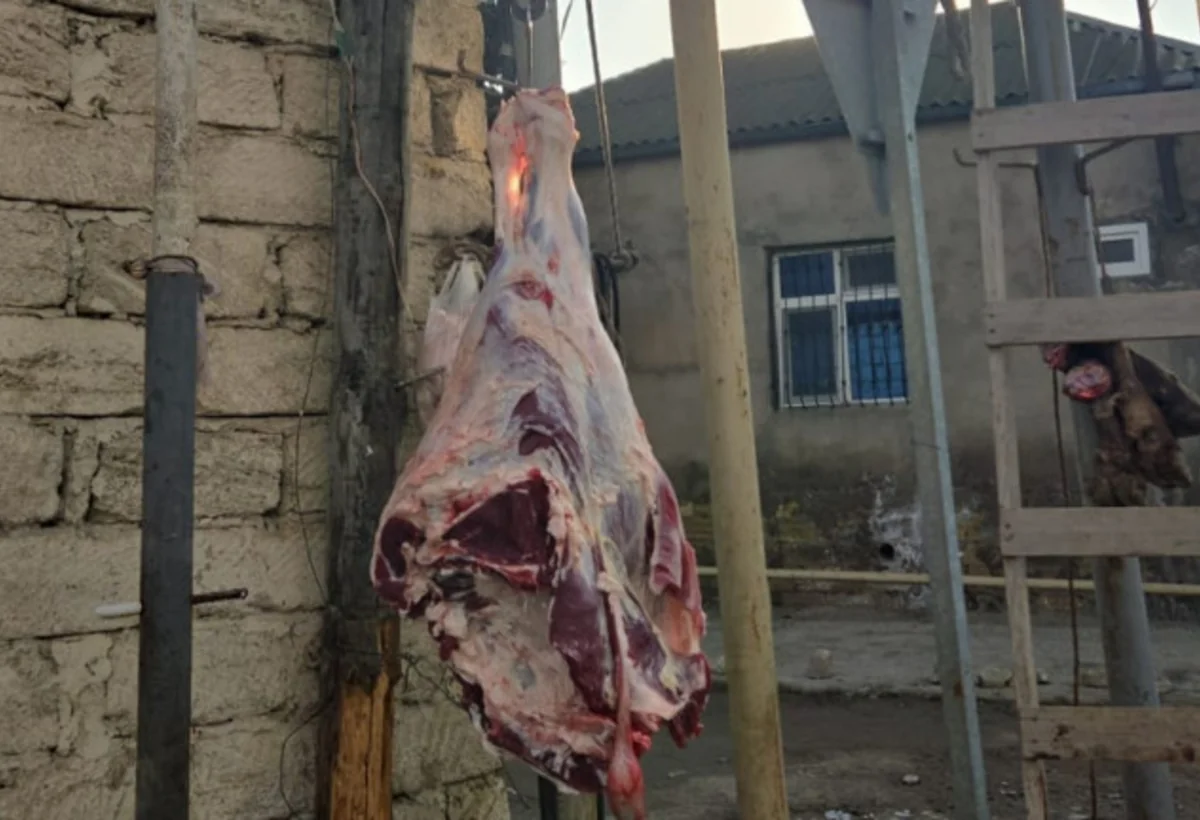Bakıda yoxlanılan ət mağazalarının yarıdan çoxunda qanunsuzluq aşkarlanıb - FOTO