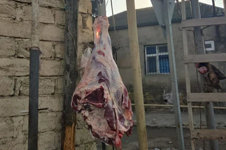 Bakıda yoxlanılan ət mağazalarının yarıdan çoxunda qanunsuzluq aşkarlanıb - FOTO