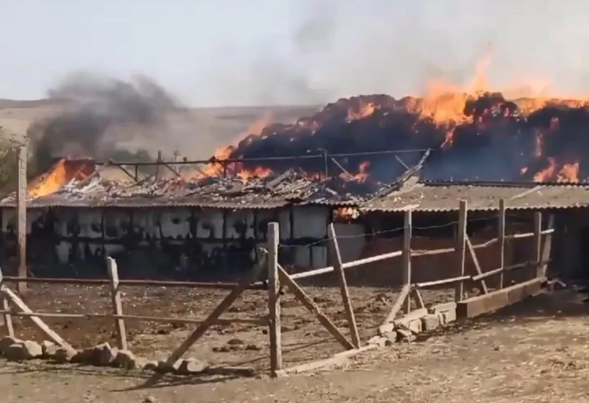 Cəlilabadda dəhşətli yanğın: 1000-dən çox ot bağlaması və iki tövlə külə dönüb