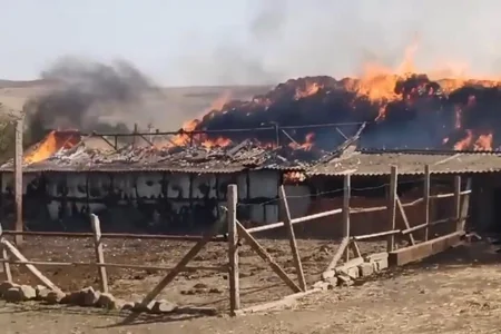 Cəlilabadda dəhşətli yanğın: 1000-dən çox ot bağlaması və iki tövlə külə dönüb